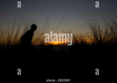 Mans silhouette in beach grass backed by sunset on ocean horizon Stock Photo