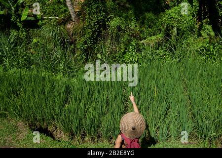 Young girl wearing a straw hat pointing on a rice terrace in Bali Stock Photo