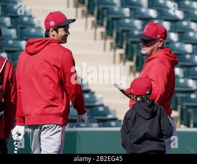 Joe maddon hi-res stock photography and images - Alamy