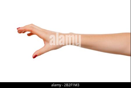Woman Hand Showing Picking Pose Holding Stock Photo 1241231617 |  Shutterstock