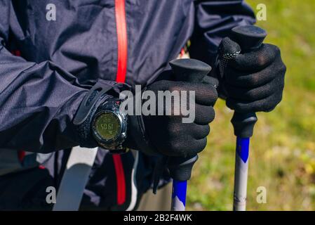 tourist hands with training sticks. A young man is engaged in the nordic walking in woods. Stock Photo