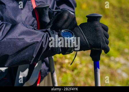 tourist hands with training sticks. A young man is engaged in the nordic walking in woods. Stock Photo