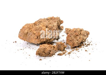 Lump of soil for planting isolated on white background Stock Photo