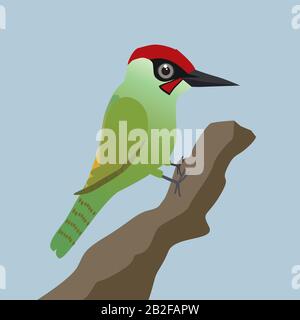 A vector illustration of a green woodpecker on a tree trunk with a blue background Stock Vector
