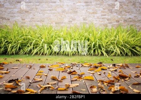 Empty wooden floor or decking with abstract blurred of garden background. For Display or product photo montage Stock Photo