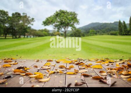 Empty wooden floor or decking with abstract blurred of garden background. For Display or product photo montage Stock Photo