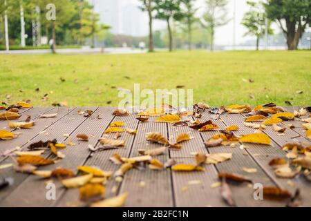 Empty wooden floor or decking with abstract blurred of garden background. For Display or product photo montage Stock Photo