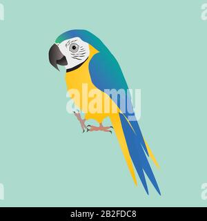 An illustration of a funny  and cute blue and yellow macaw, cartoon style Stock Vector