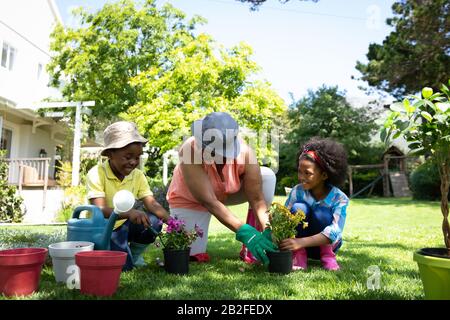 Front view of an African American grandmother in the garden, kneeling and potting plants with her young grandson and granddaughter. Family enjoying ti Stock Photo