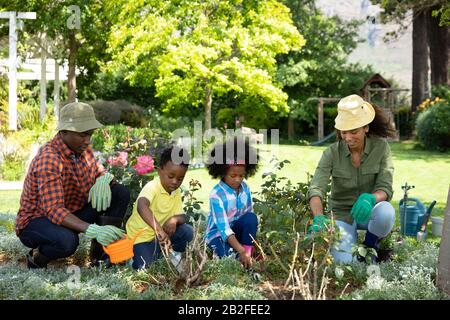 Front view of African American couple with their young son and daughter in the garden, gardening and watering plants together. Family enjoying time at Stock Photo