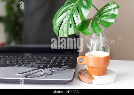 Still-life portrait of computer, coffee mug on table and plants in bright environment. Stock Photo