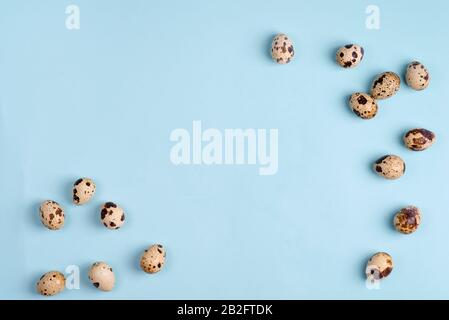 Quail eggs on a blue paper background, top view, square frame Stock Photo
