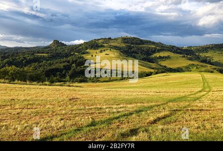 Meadow in mountain after storm Stock Photo