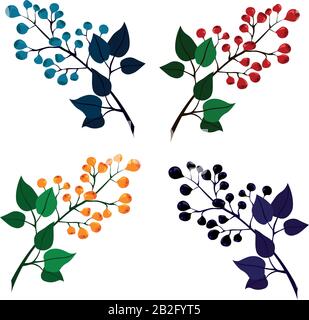 Set of berries: blueberries, cranberries, currants, sea buckthorn. Stock Vector