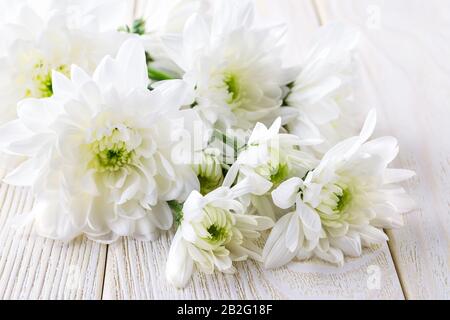 Fragile white chrysanthemum flowers on a white wooden table. Wedding greeting card and purity concept. To give flowers and floral home decor. Stock Photo