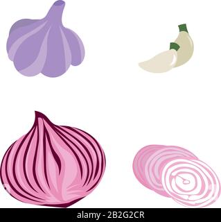 Bright vector illustration of colorful onion, garlic. Used for magazine, book, poster, card, menu cover, web pages. Stock Vector