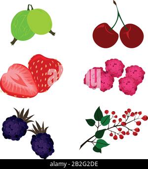 Set of vector berries: gooseberry, cherry, strawberry, raspberry, blackberry, lingonberry. Stock Vector