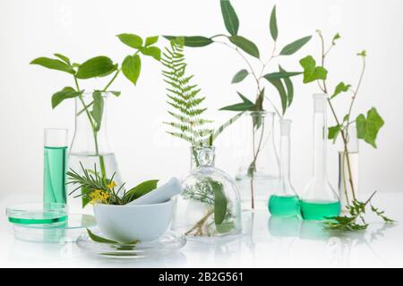 Cosmetic laboratory experiment and research with leaf, oil and ingredient. Extract for natural beauty and organic skincare product package,bio science Stock Photo