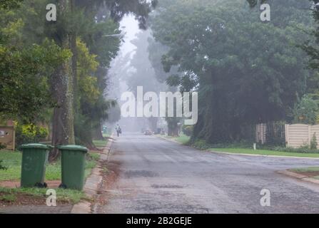 Alberton, South Africa - unidentified persons search in household garbage bins on a misty autumn morning for reusable and recyclable items Stock Photo