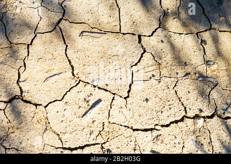 Dried cracked earth soil ground texture background. Pattern of sunny dried earth soil in the garden. Top view Stock Photo