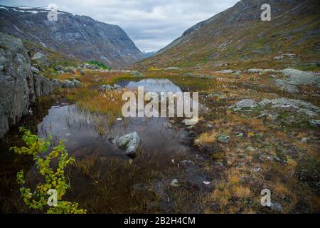 Beautiful colors surrounding a small lake in the Norwegian mountains Stock Photo