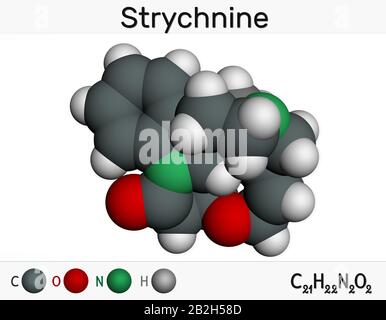 Strychnine, C21H22N2O2,  molecule. It is monoterpenoid indole alkaloid, is from the seeds of the Strychnos nux-vomica tree. Used for destroying rodent Stock Photo