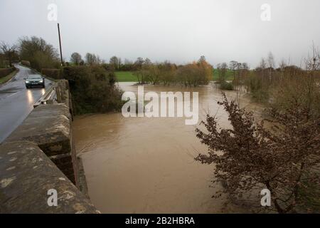 Looking downstream at the Dorset Stour river flooding near East Stour after Storm Jorge. The storm brought heavy rain and strong winds to many parts o Stock Photo