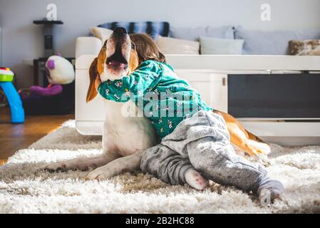 Baby hugging tight Beagle dog in sunny room. Stock Photo