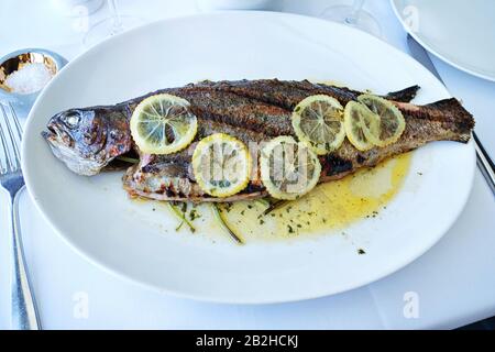Rainbow trout, Lunch At Icebergs Dining Room And Bar, Fine Dining, Bondi Beach, Sydney, Australia Stock Photo