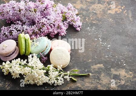 Multicolored bright macaroons on a colored cement background next to lilac flowers close-up Stock Photo