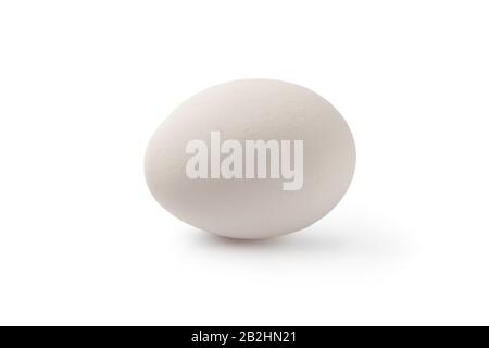 White chicken egg isolated on white Stock Photo