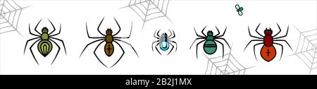 Set Of Spiders In Different Sizes And Colors. For Decoration, Halloween, Textile, Fabric, Background. Web, Fly. Vector Image. Stock Vector