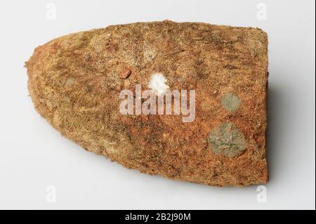 Spores on bread surface isolated on white background Stock Photo