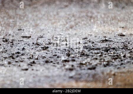 Close-up view of raindrops striking a wet asphalt surface, creating small splashes and ripples. The foreground is in sharp focus, showing individual water droplets and their impact, while the Stock Photo