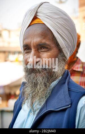 Portrait of an old Sikh man of Indian ethnicity with a white, bushy ...