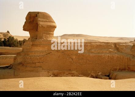 Travel Photography - The Sphinx at the Pyramids of Giza in Cairo in Egypt in North Africa Middle East Stock Photo