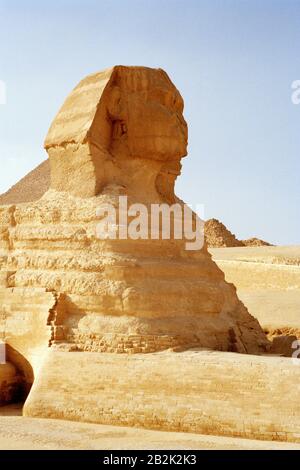 Travel Photography - The Sphinx at the Pyramids of Giza in Cairo in Egypt in North Africa Middle East Stock Photo