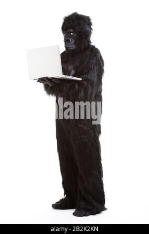Young man in gorilla costume using laptop against white background Stock Photo