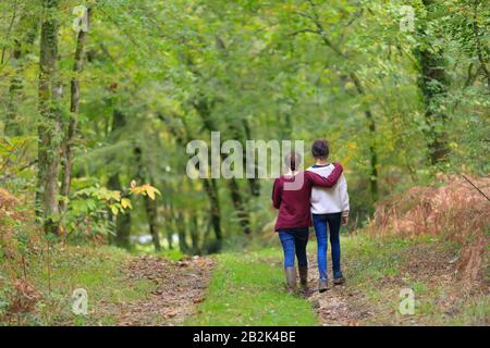 Unidentified two teenagers girls hugging and walking in a temperate forest. Stock Photo