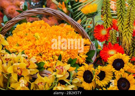 Flower basket arrangement with gerberas, sunflowers, orchids, in blossom in 'Madeira Flower Festival', Madeira island, Portugal Stock Photo