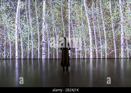 Hayward Gallery, London, UK. 3rd Mar 2020. Jennifer Steinkamp, Blind Eye, 1, 2018 - Among the Trees at Hayward Gallery, a new exhibition that reimagines how we think about trees and forests, and how they have shaped human civilisation. Curated by Hayward Gallery Director, Ralph Rugoff, the show includes Colombian rainforests, jungles in Japan, olive orchards in Israel, Scandinavian woods and an underground forest in South Africa. It runs 4 March - 17 May 2020. Credit: Guy Bell/Alamy Live News Stock Photo