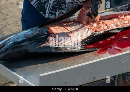 fisherman hands cutting a fresh marlin detail Stock Photo