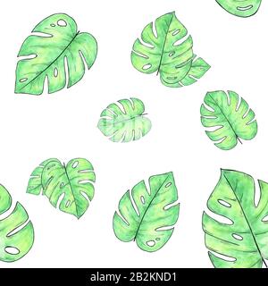 Watercolor hand drawn seamless pattern with monstera leaves Stock Photo