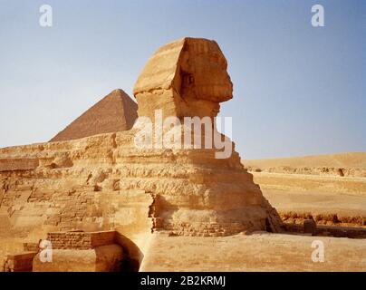 Travel Photography - The Sphinx and the Great Pyramid Cheops Khufu at the Pyramids of Giza in Cairo in Egypt in North Africa Middle East Stock Photo