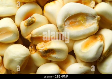 Cooked Corn Also Called Mote In South America Fairly Popular Food In Indigene Communities Stock Photo