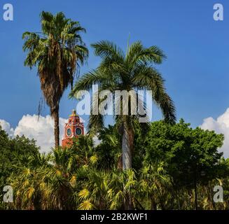 Clock tower between palm trees in Mérida, Mexico Stock Photo