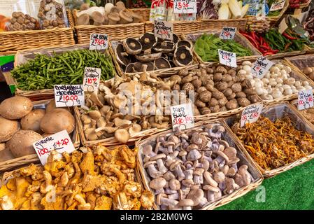 Varieties of mushrooms on a stall in Borough Market, London, UK Stock Photo