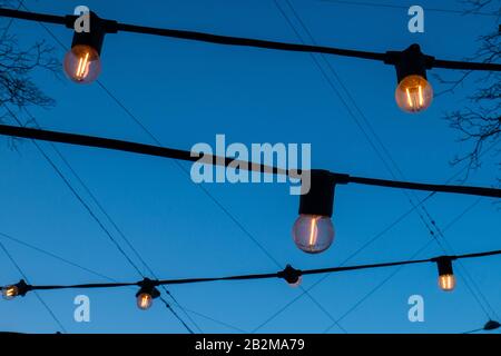 Light bulbs on the evening blue sky. Stock Photo