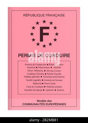 Vector illustration of the old French pink diving licence Stock Vector