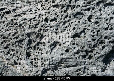 Stone texture, porous stone, rock. Background, texture of sea stone Stock Photo